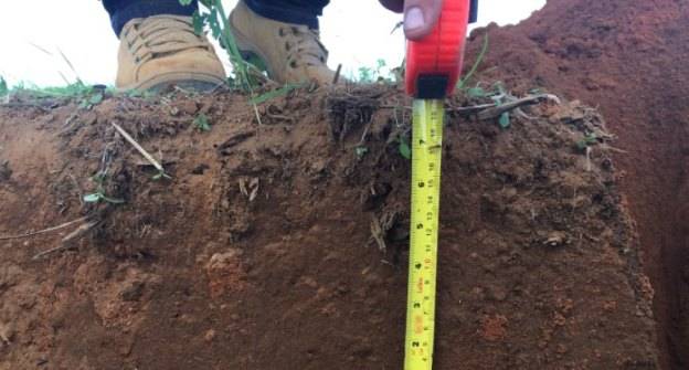 10 cm de Solo. Bom?