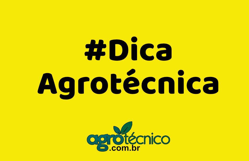 Dica Agrotécnica 01 – Fertilizantes a Base de Potássio