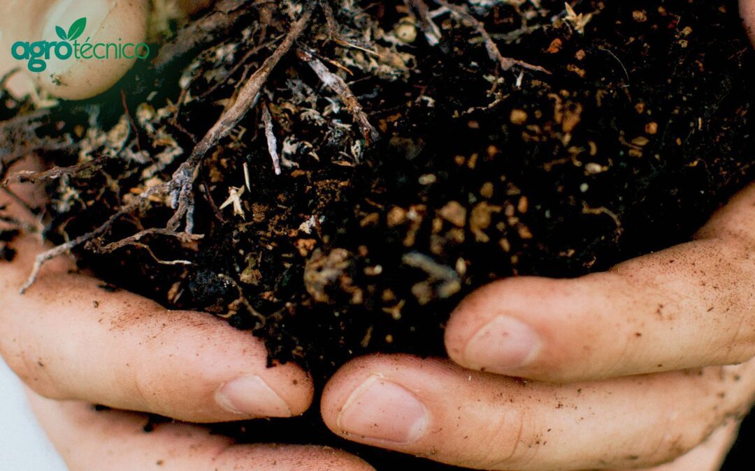 Como a microbiologia do solo atua na produção agrícola
