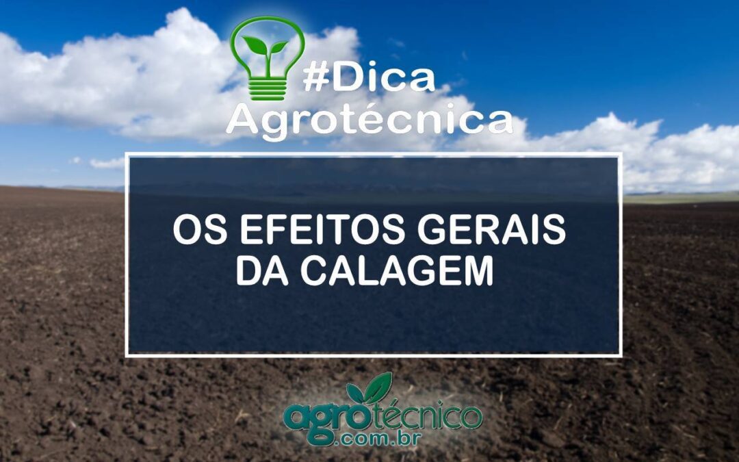 OS EFEITOS GERAIS DA CALAGEM