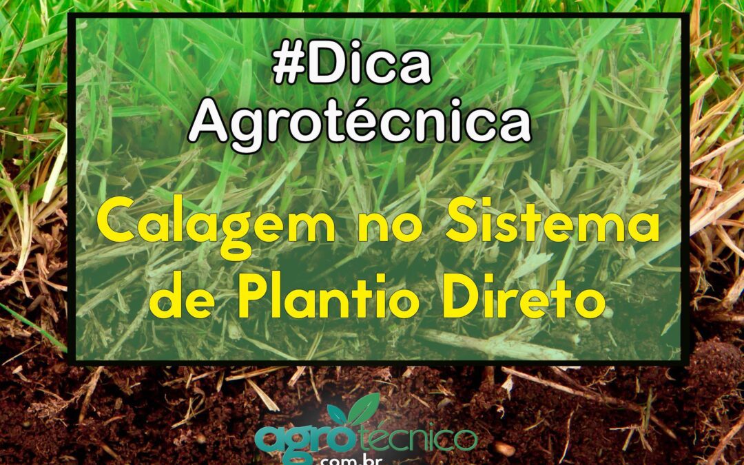 Calagem no Sistema de Plantio Direto