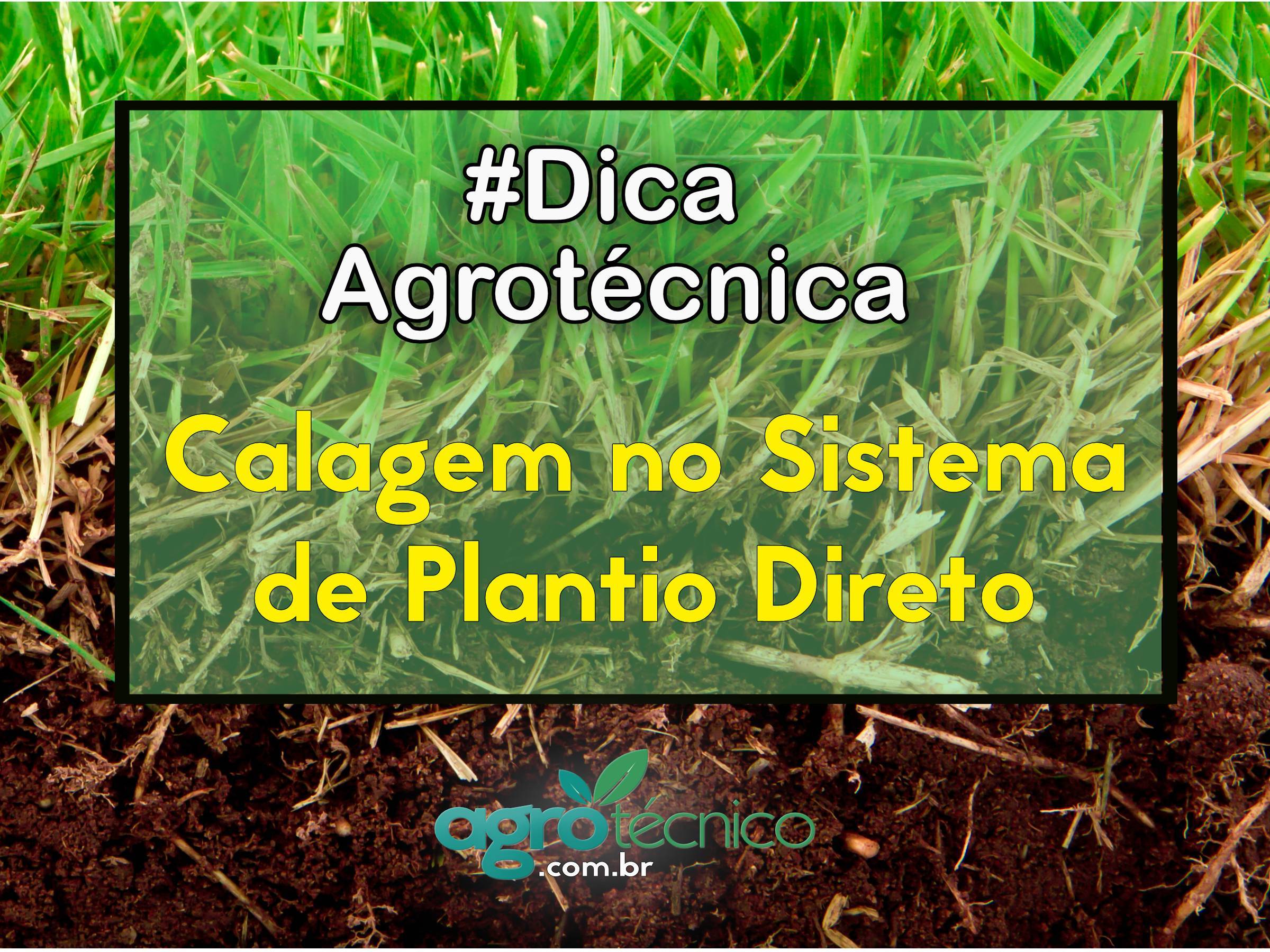 Calagem no Sistema de Plantio Direto