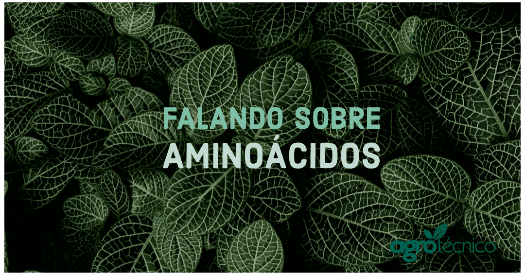 Falando sobre Aminoácidos