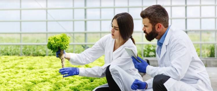 Biotecnologia Agrícola, um olhar mais atento.