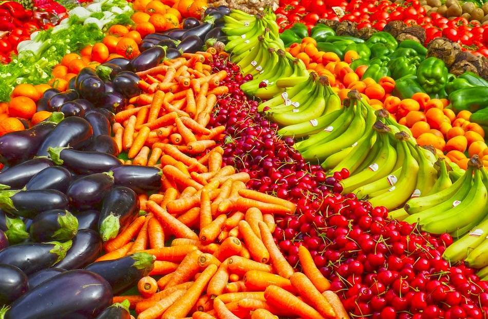 Pequenos negócios no agro: principais tendências