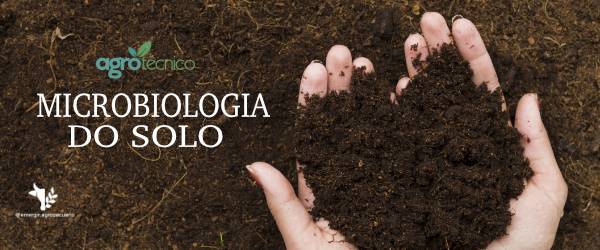 Como a microbiologia do solo atua na produção agrícola