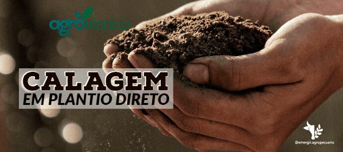 O que você precisa saber para fazer calagem em plantio direto