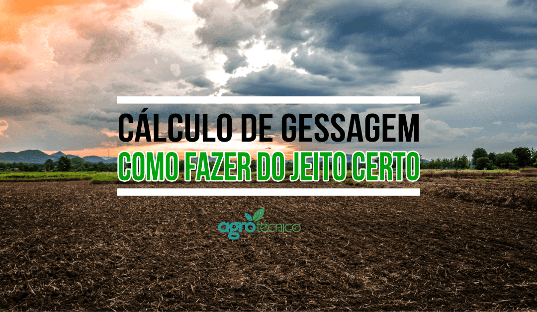 Cálculo de gessagem: como fazer do jeito certo e mais!