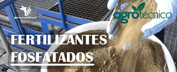 Fertilizantes fosfatados: obtenha máxima eficiência e saiba as novas tecnologias