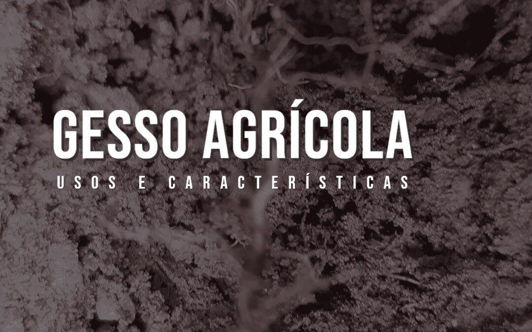 Gesso agrícola: Usos e características