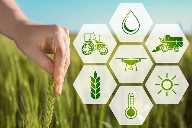 O que você precisa saber para entender a agricultura 4.0