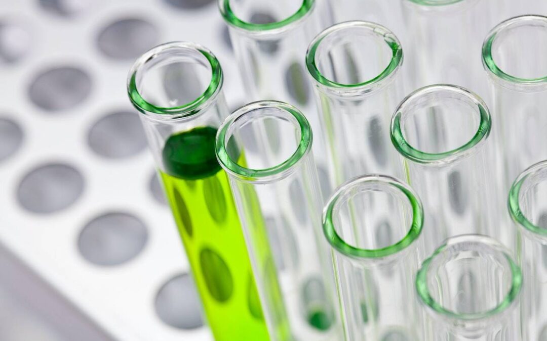 Biotecnologia agrícola: 7 produtos que impulsionam a agricultura