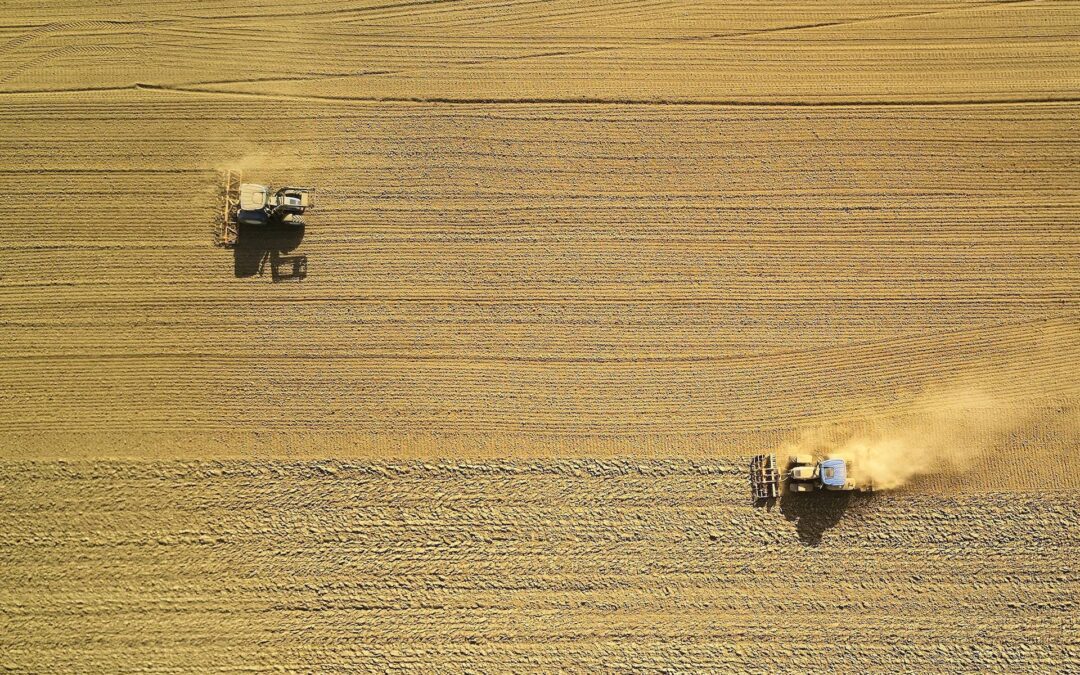 Nutrição de plantas para soja de alta produtividade