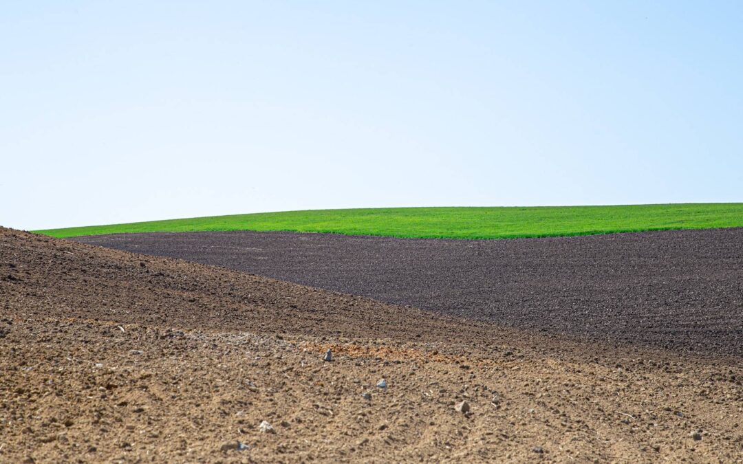 Gessagem , Calagem & Fertilidade: princípios e aplicações