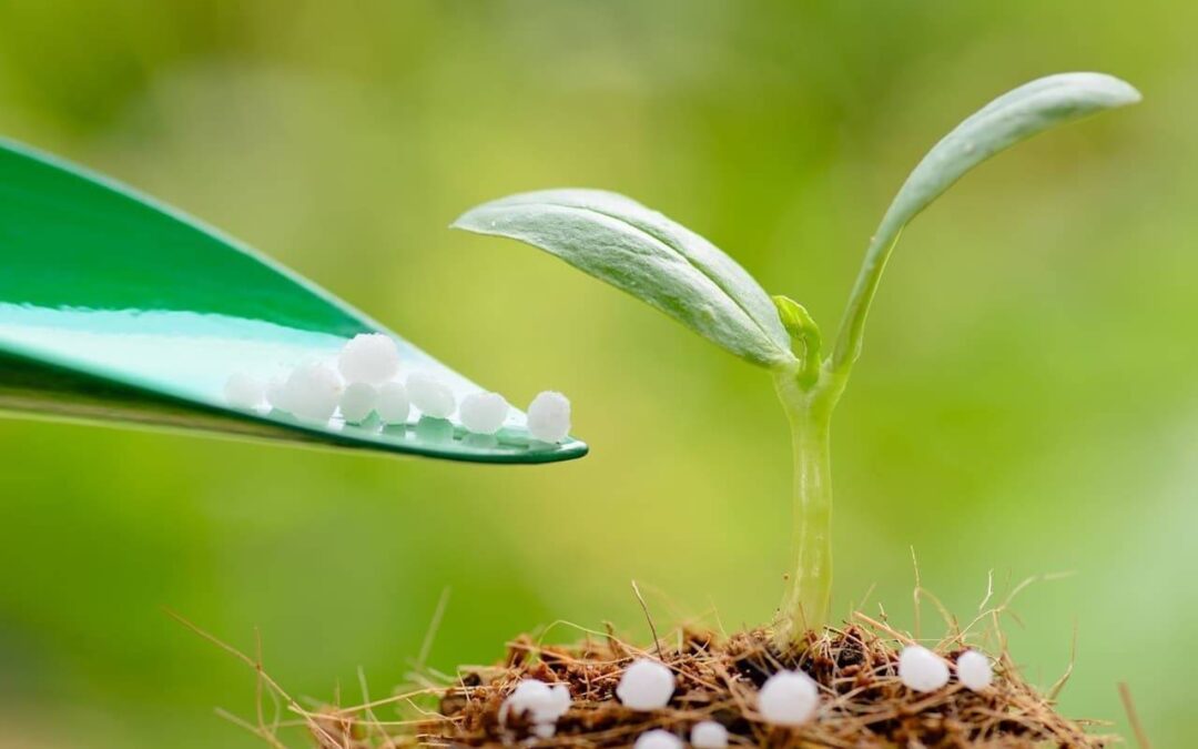 Fertilizantes: Tipos, funções e como fazer seu manejo na lavoura