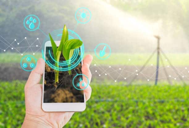 Tecnologia na agricultura: Conceitos e o que vale a pena usar