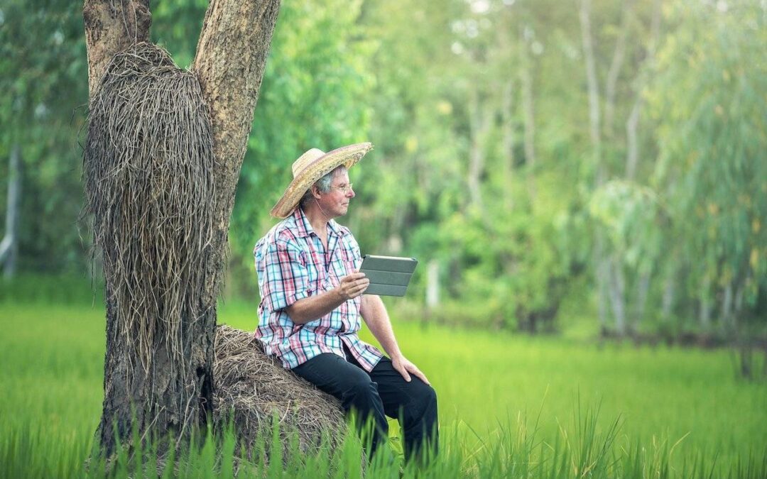 A importância de ter bons profissionais na agricultura
