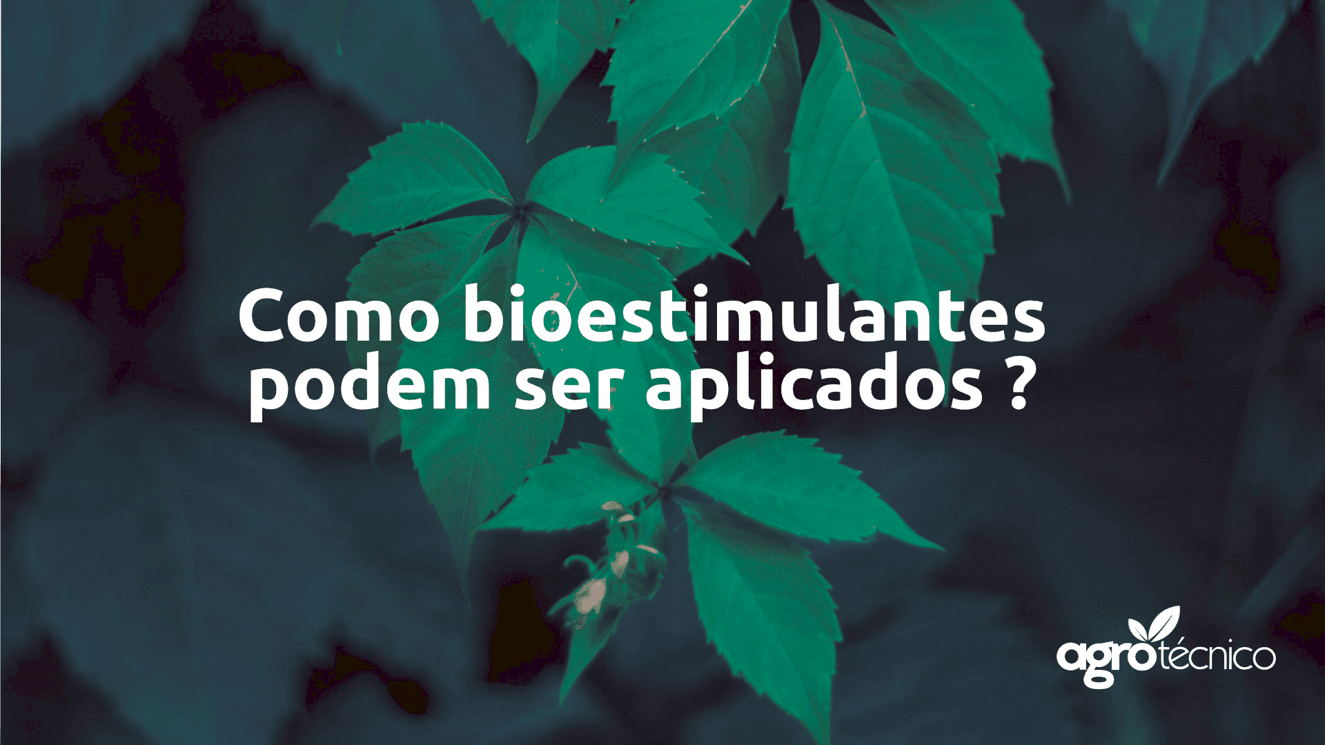 bioestimulante-2-capa