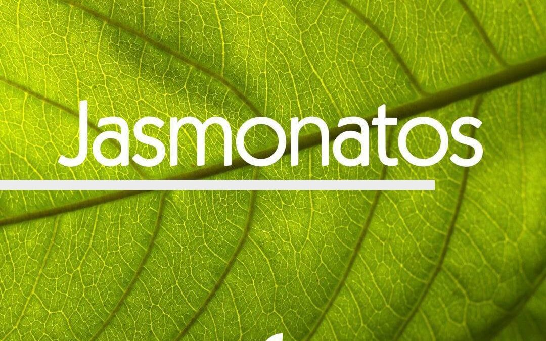 JASMONATOS