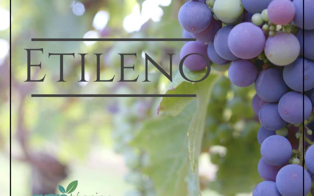 Etileno
