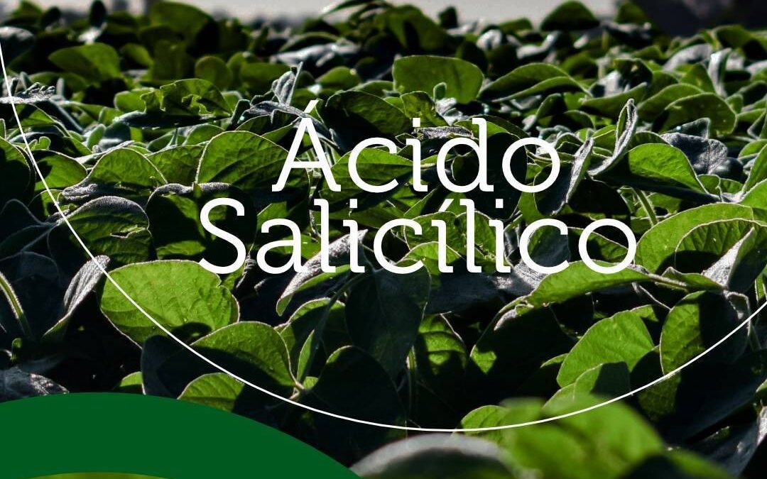 ÁCIDO SALICÍLICO