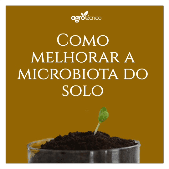 Como melhorar a microbiota do solo