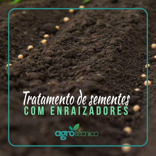 Tratamento de sementes com enraizadores