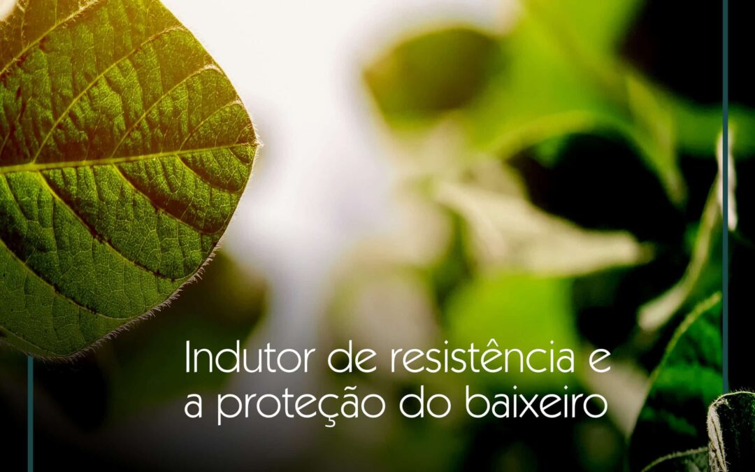 Indutor de resistência e a proteção do baixeiro
