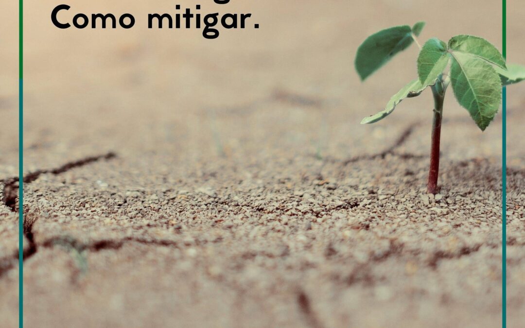 Estresse Vegetal abiótico. Como mitigar.