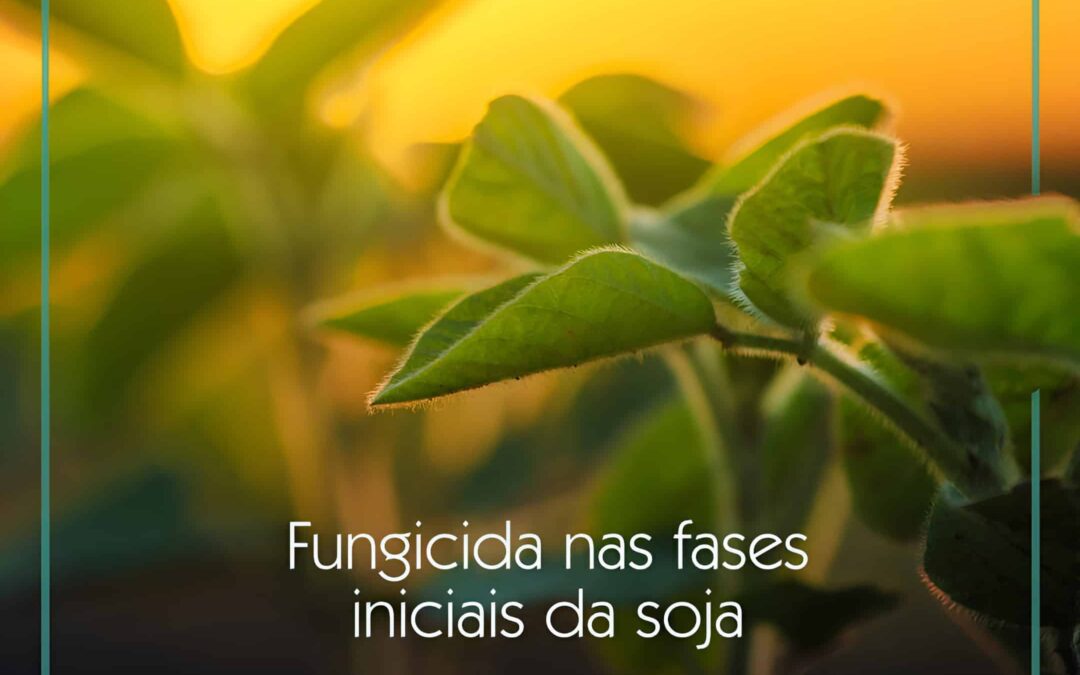 Fungicida nas fases iniciais da soja