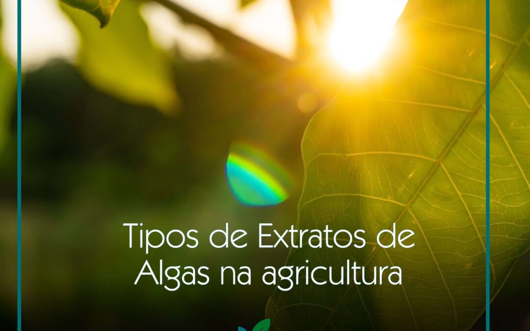 Tipos de Extratos de Algas na agricultura