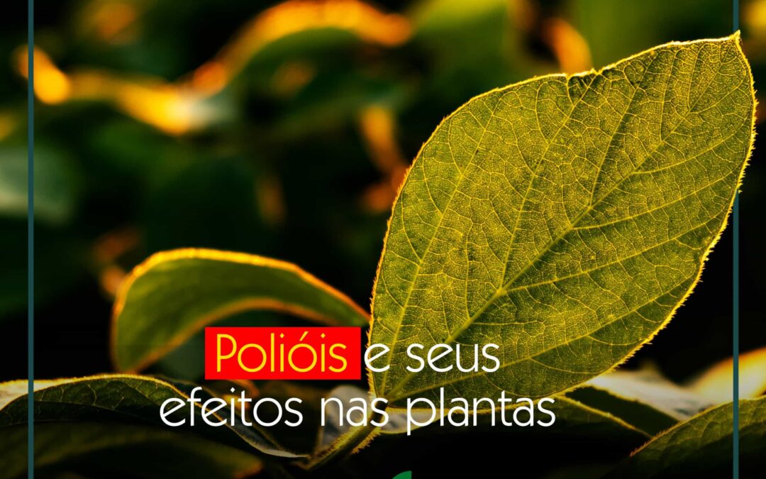 Polióis e seus efeitos nas plantas