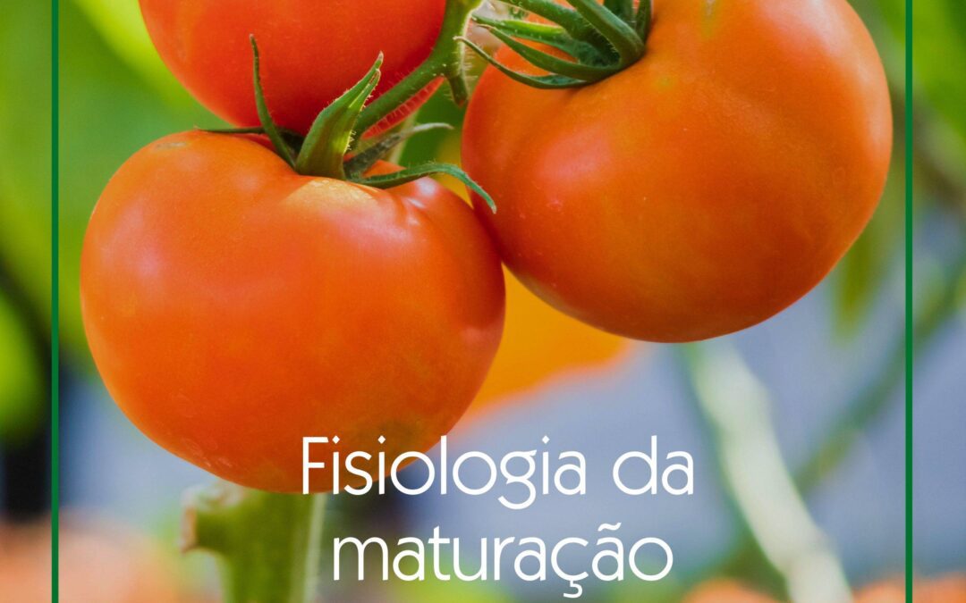 Fisiologia da maturação