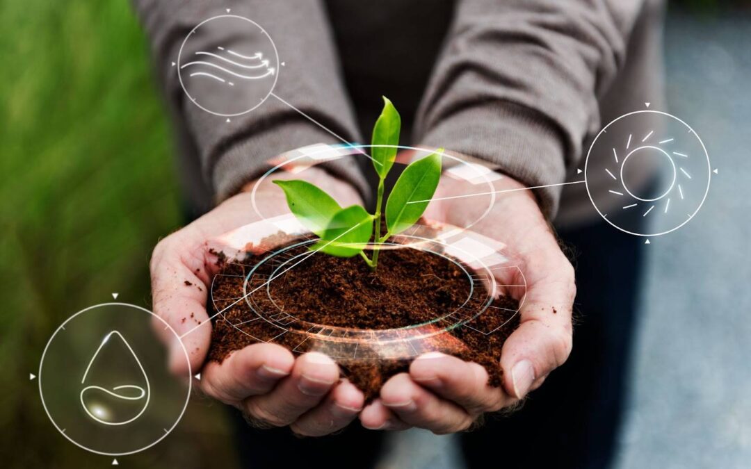 Especializações em alta para o agronegócio