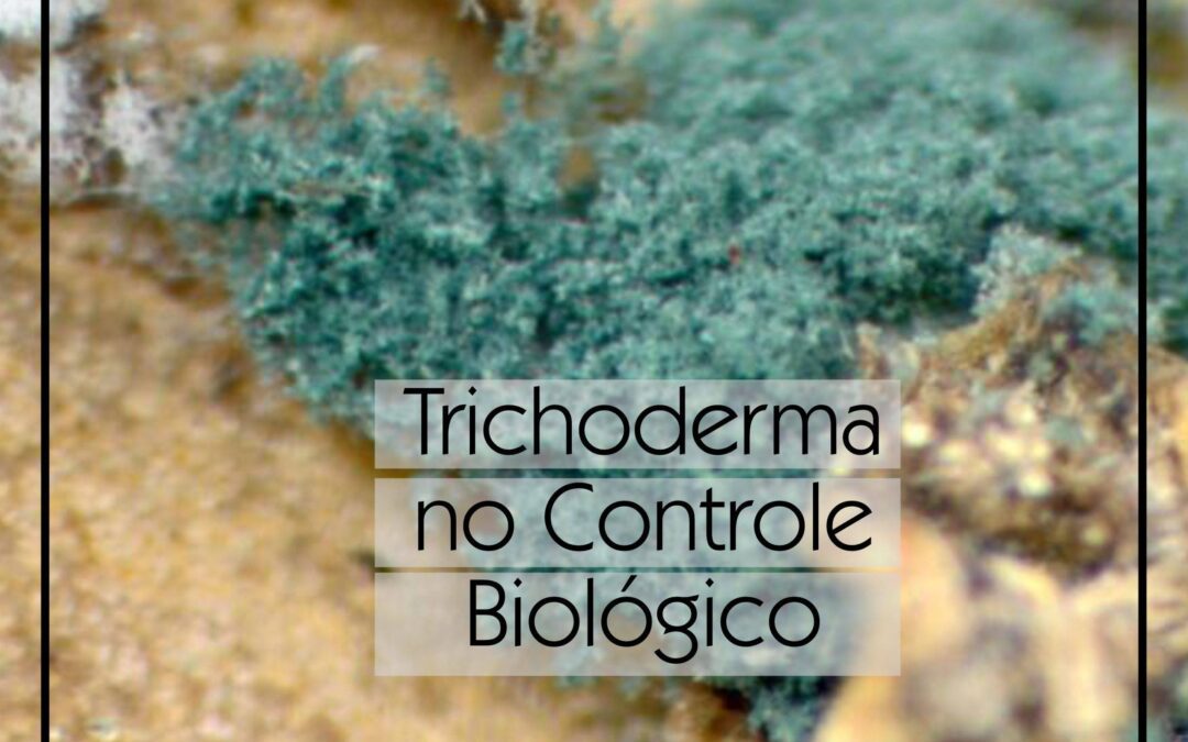 Trichoderma no Controle Biológico