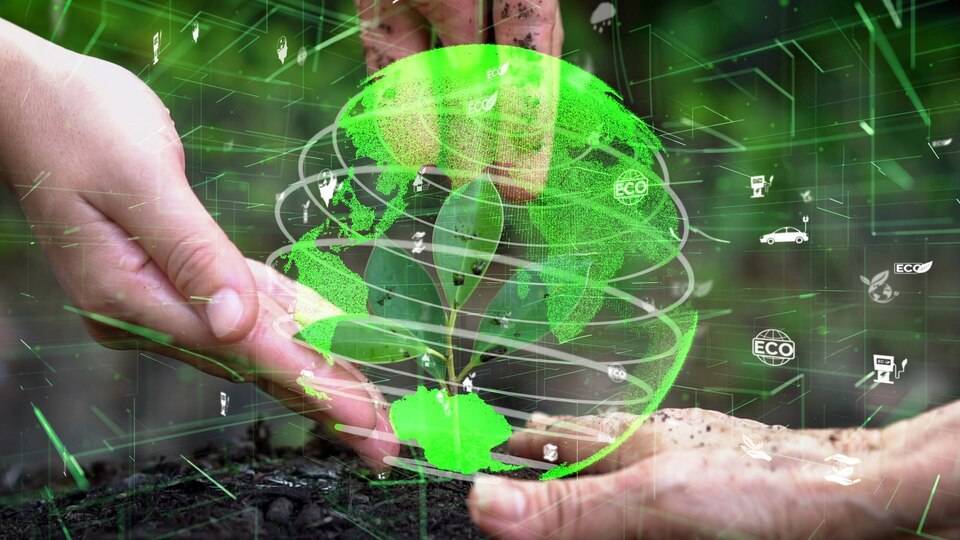 A relação entre a agricultura e a preservação da biodiversidade