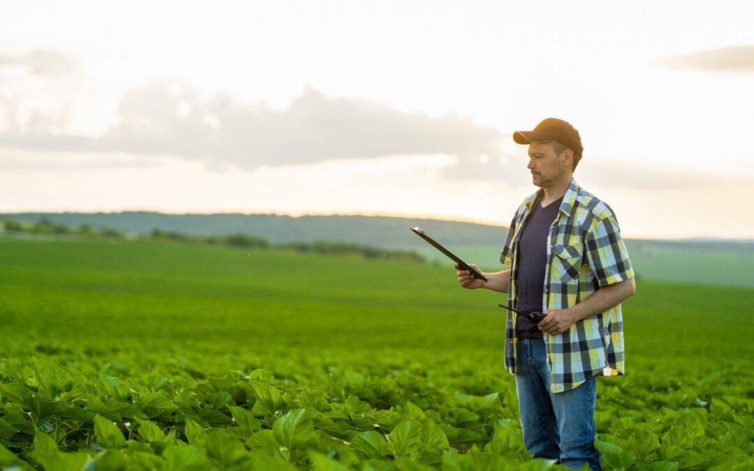 A geração de demanda para o sucesso dos produtos agrícolas