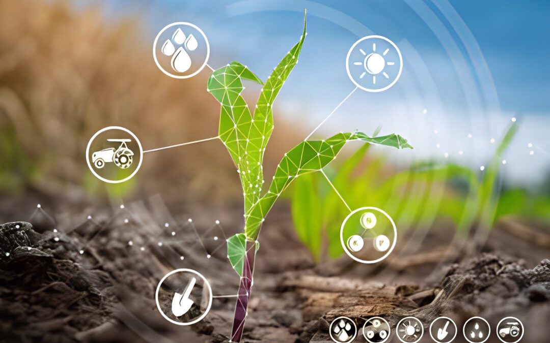Tecnologia na agricultura e o desenvolvimento do mercado