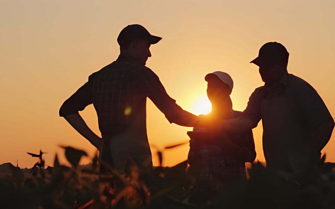 As habilidades essenciais de um excelente agrônomo