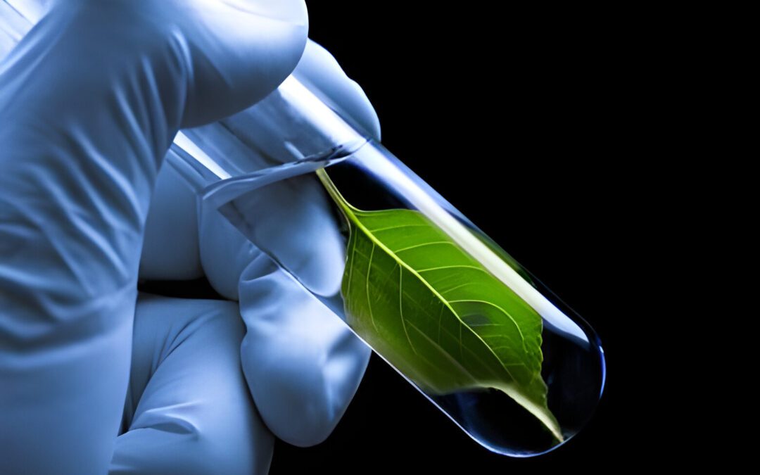 Metabólitos e a Produtividade